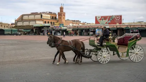 Maroc - Tourisme : "La situation est critique mais l'espoir est...